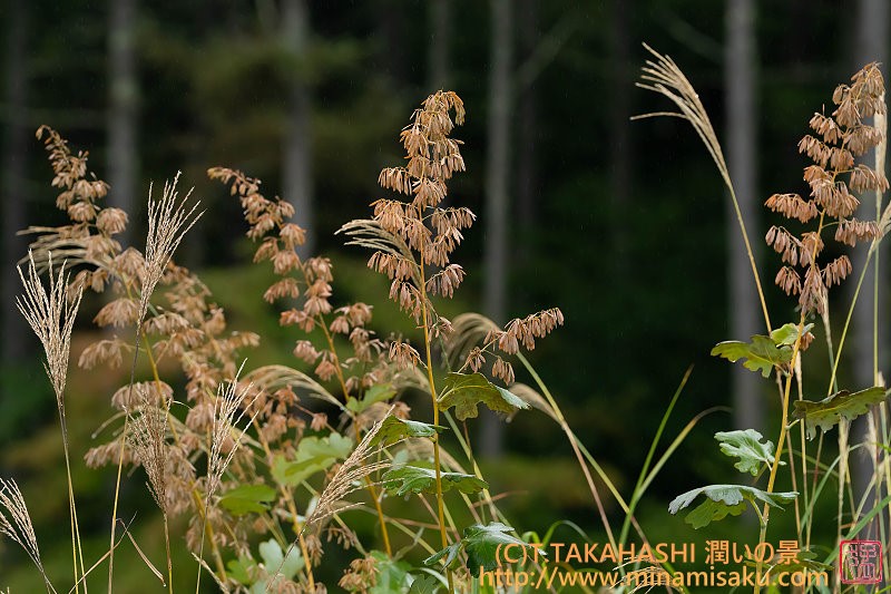 ../Images/7R251004 (16).jpg